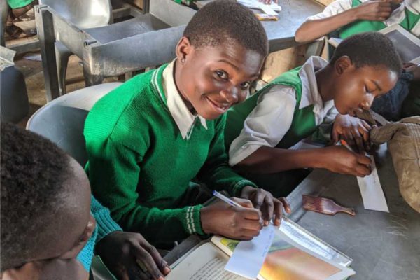 A GAEF-supported learning session